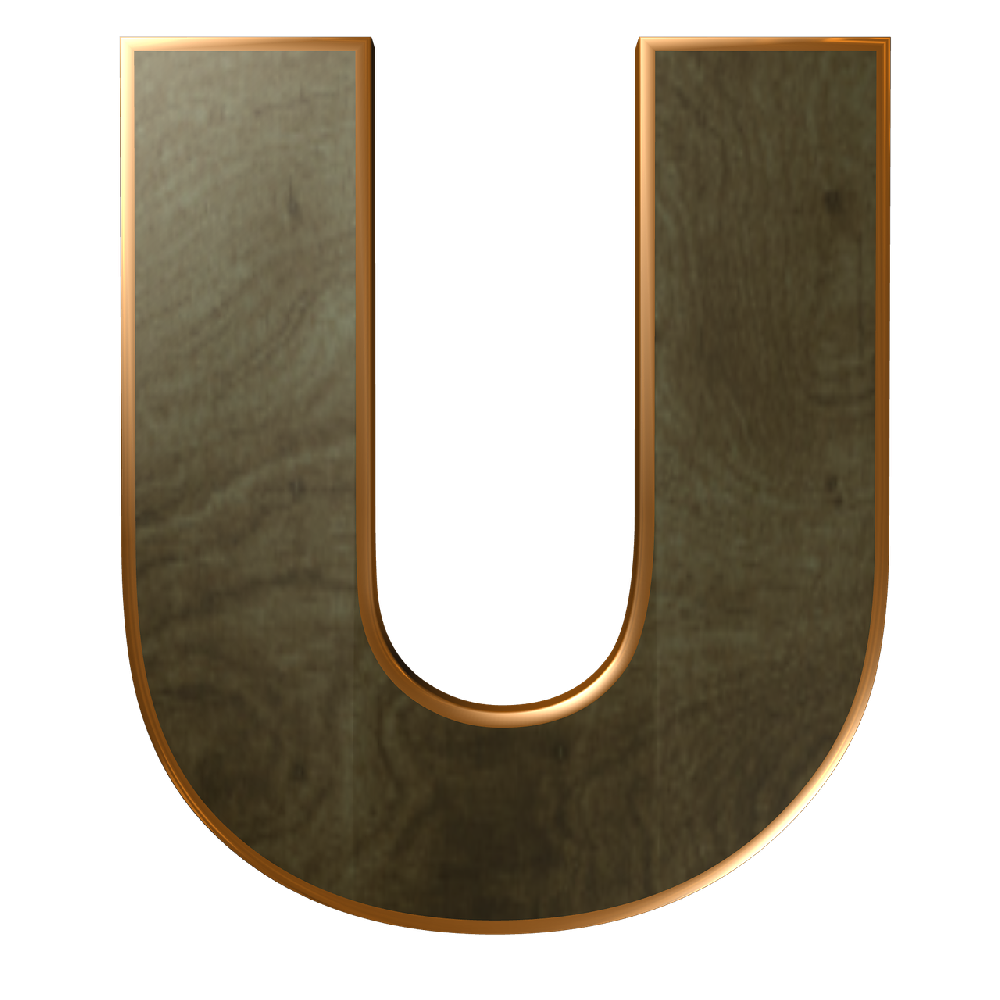 Inserted Image